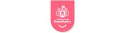 adiestramiento-canino-gdl-zapopan-tlajomulco-de-zuñiga-chapalita-andares-queretaro-juriquilla-modest-dog-entrenador-de-perros-ciudad-de-mexico-cdmx-veracruz-cholula-puebla-xalapa-veracruz