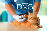 Veterinario a Domicilio Gatos CDMX Ciudad de Mexico Modest Dog Veterinaria