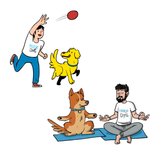 Adiestramiento Canino Queretaro Entrenador de Perros Juriquilla