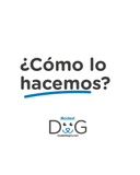 Adiestramiento Canino Queretaro Entrenador de Perros Juriquilla
