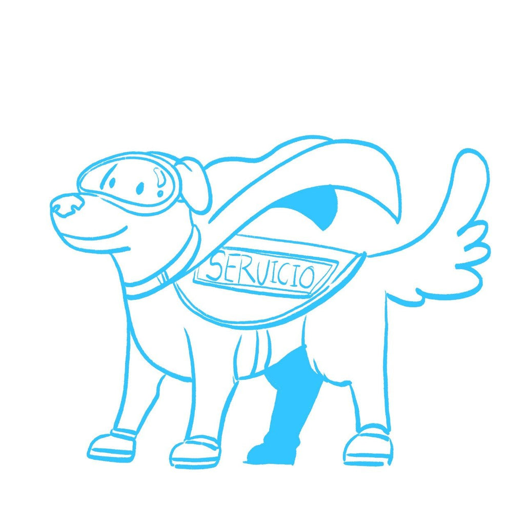 Viaja con Viva Aerobus y tu Perro de Apoyo Emocional o de Servicio con Certificación Oficial de Modest Dog