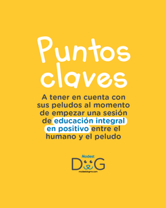 Buenas Prácticas. y Tips Adiestramiento Canino - Puntos Claves para la sesión en Positivo de Entrenamiento Canino y Educación