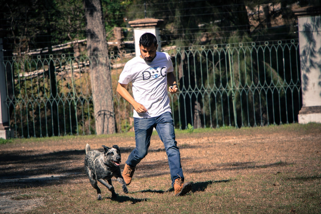 Adiestramiento Canino en Guadalajara, Zapopan y Tlajomulco de Zúñiga: Modest Dog Entrenador de Perros A Domicilio