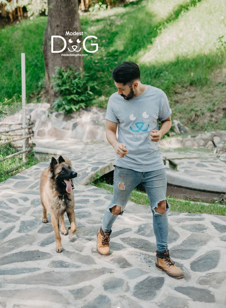 Modest Dog: La Opción Número Uno en México para Certificar Perros de Servicio y de Apoyo Emocional