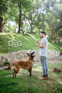 Octavio Abascal Lider Internacional en perros/animales de servicio, perros de apoyo emocional y  Adietramiento Canino en Positivo