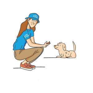 Técnicas de Adiestramiento Canino para la educación de nuestro cachorro