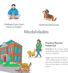 Curso Para Entrenadores de Perros Certificación Con Validez Internacional Adiestrador Canino en Sonora