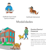 Curso Para Entrenadores de Perros Certificación Con Validez Internacional Adiestrador Canino en Sonora