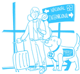 Support Dog Certificate ESA Pet Animal Certificación Airplane Travel International Validation Emotional Support