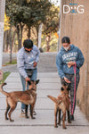 Taller Peluditos Adoptados Adaptacion/Guia/Educacion/ Dia del Perro