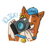 Produccion Audiovisual Perros y Mascotas  CDMX - GDL - MTY - QRO - VER - PUE - CUN - PV