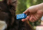 Kit+ Curso Adiestramiento Canino en Positivo Online