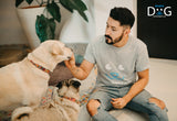 Kit+ Curso Adiestramiento Canino en Positivo Online