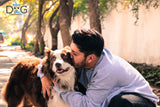 El Mejor Entrenador de Perros Gdl, CDMX, Qro, MTY, VER, PUE  Adiestramiento Canino en Positivo A Domicilo Impartido Por Tavo y Charly  (Fundadores de Modest Dog)