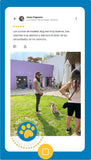 Adiestramiento Canino Modest Dog Zapopan Guadalajara Queretaro Veracruz Puebla CDMX MTY  Entrenador de Perros a Domicilio CDMX, Gdl, Mty, Qro, Clase de Evaluación - First Test to School ( Presencial)