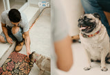 Kit+ Curso Adiestramiento Canino en Positivo Online